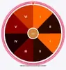 Roda da Sorte icon